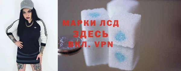 шишки Мегион
