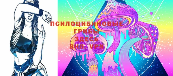 бошки Медногорск