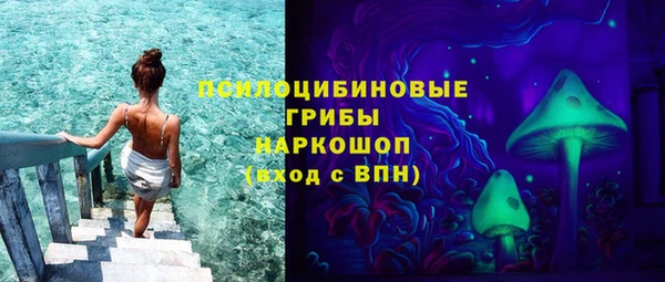шишки Мегион