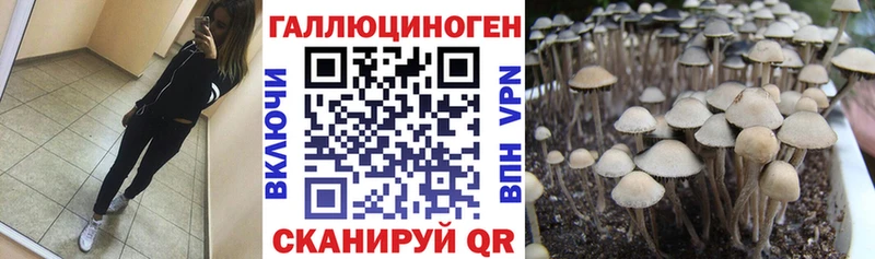 Галлюциногенные грибы Cubensis  гидра ссылки  Хвалынск 